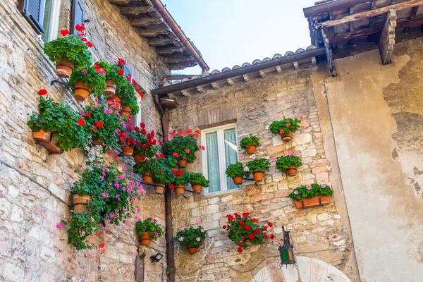 Assisi Paese Umbria Italia Città Famosa Più Importante Basilica San — Foto Stock