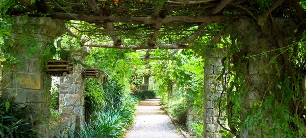 Tuin Met Pergola Structuur Met Felle Kleuren Tijdens Het Late — Stockfoto