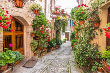 Spello, İtalya - Haziran 2021: Antik caddede çiçekler. Spello İtalya 'nın Umbria bölgesinde yer almaktadır..