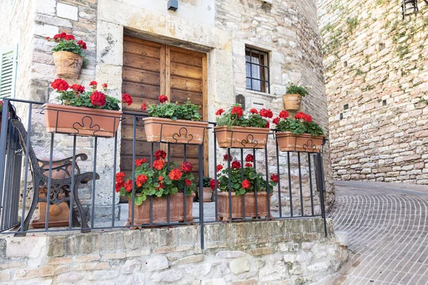 Talya Nın Umbria Bölgesindeki Assisi Köyü Kasaba Önemli Talyan Aziz — Stok fotoğraf