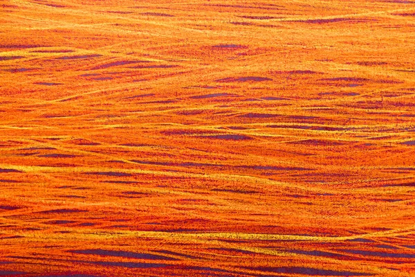 Fundo Horizontal Com Espaço Cópia Fechamento Textura Vermelho — Fotografia de Stock