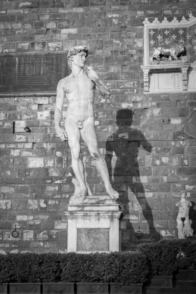 Давид Михеланджело Буонарроти Флоренции Италия Известный Шедевр Мужского Совершенства — стоковое фото