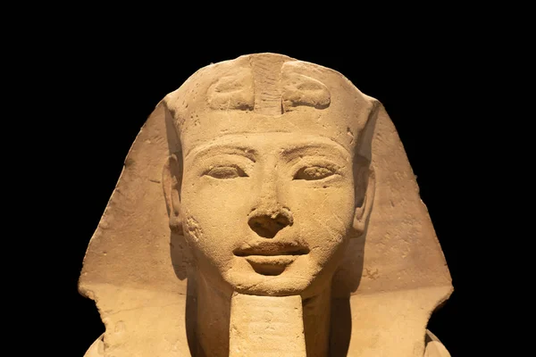 Turín Itálie Circa Červenec 2021 Egyptská Archeologie Starověká Sfinga Pískovci — Stock fotografie