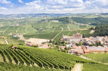 İtalya 'nın Piedmont bölgesindeki panoramik kırlarda. Meşhur Barolo Şatosu ve şehriyle manzaralı üzüm bağı tepesi.