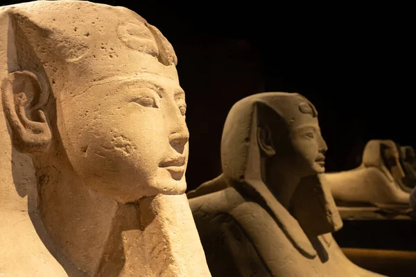 Turin Italien Cirka Juli 2021 Egyptisk Arkeologi Forntida Sfinx Sandsten — Stockfoto