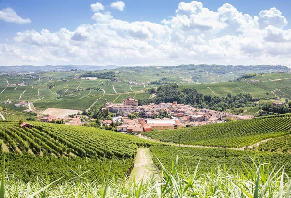Panoramic Countryside Piedmont Region Italy Scenic Vineyard Hill Famous Barolo — Stock Photo, Image
