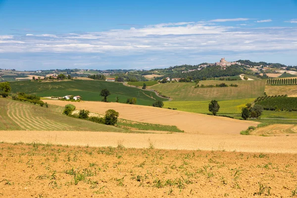 Piedmont Piemonte Bölge Talya Langhe Bölgesindeki Kırsal Alan — Stok fotoğraf