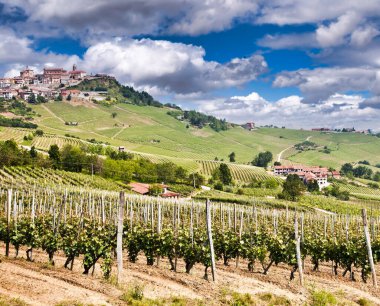 La Morra. İtalya 'nın Piedmont bölgesindeki Barolo ve Alba yakınlarındaki geleneksel köy..