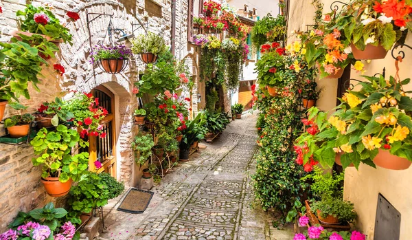 Spello Itália Por Volta Junho 2021 Flores Rua Antiga Spello — Fotografia de Stock