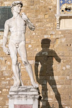 Floransa, İtalya 'dan Michelangelo Buonarotti' den David. Ünlü erkek başyapıtı mükemmelliği