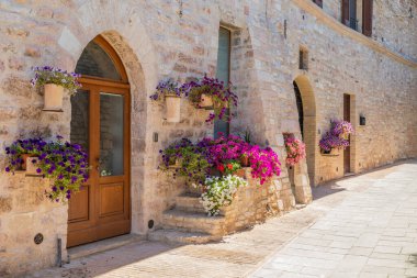 İtalya 'nın Umbria bölgesindeki Assisi köyü. Kasaba en önemli İtalyan Aziz Francis Bazilikası (Basilica di San Francesco) ile ünlüdür.)