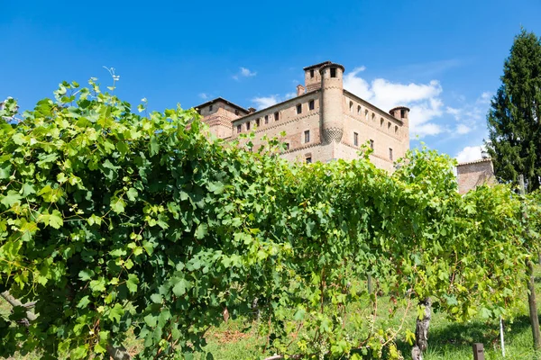 Vineyard Piemonte Régióban Olaszországban Grinzane Cavour Kastély Háttérben Langhe Borvidék — Stock Fotó