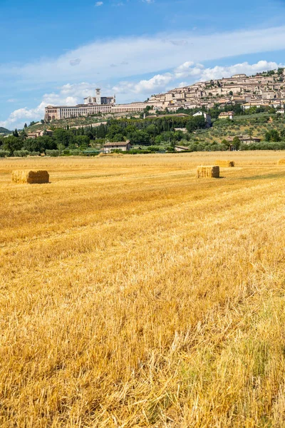 ウンブリア州 イタリア 街は最も重要なイタリアの聖フランシス大聖堂 大聖堂ディサンフランチェスコ で有名です — ストック写真