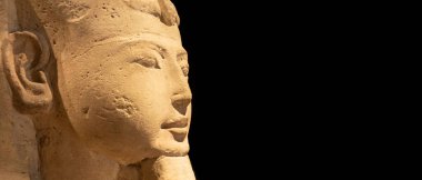 Torino, İtalya - Temmuz 2021: Mısır arkeolojisi. Firavunu temsil eden kumtaşındaki antik sfenks, uzayı kopyala