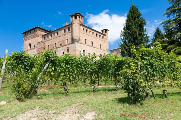 Vineyard Piemonte Régióban Olaszországban Grinzane Cavour Kastély Háttérben Langhe Borvidék — Stock Fotó