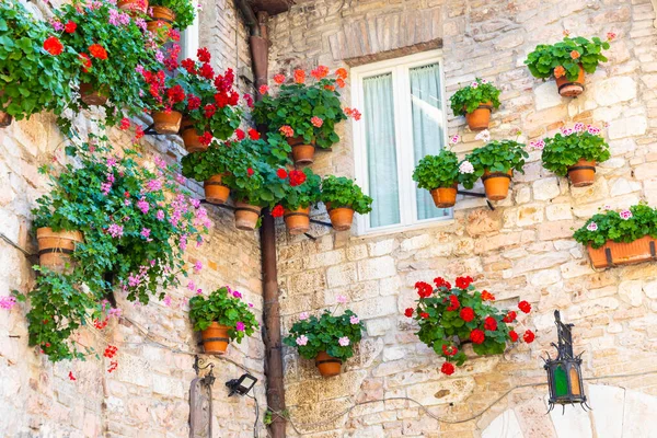 Assisi Dorp Umbrië Italië Stad Beroemd Belangrijkste Italiaanse Sint Franciscus — Stockfoto