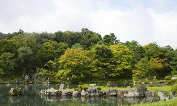 Кровать квітки маку на початку осені, Кіото — стокове фото