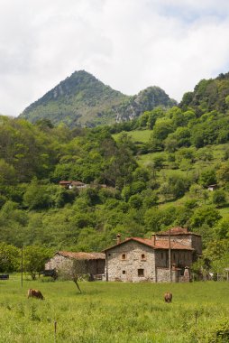 Picos de Europa, Asturias