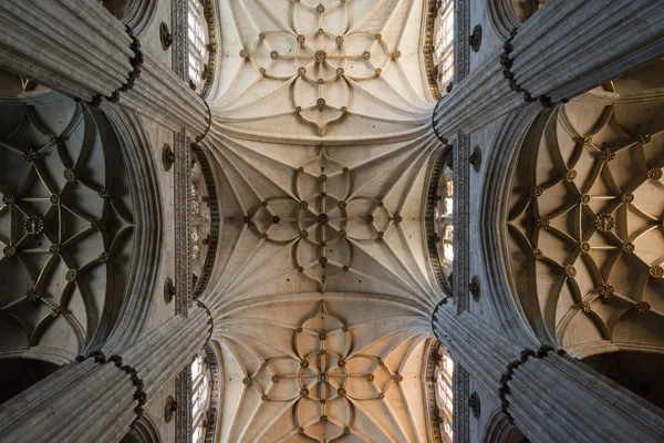 Vista interior da Catedral de Salamanca — Fotografia de Stock