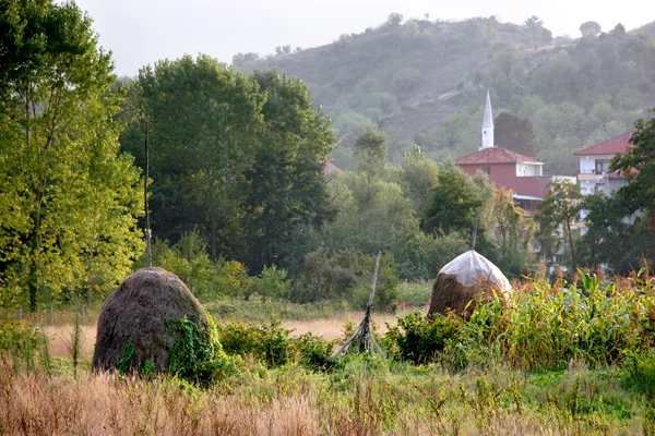 Hay piles in the country