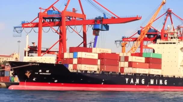 Grande nave container — Video Stock