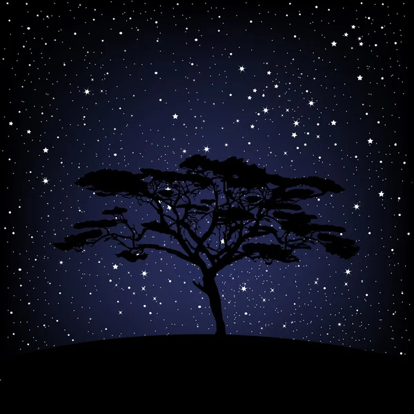Drzewo w gwiaździstą noc — Zdjęcie stockowe