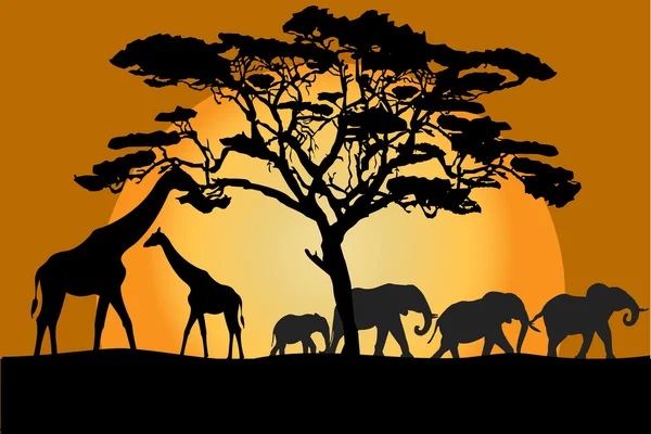 Paysage de savane avec animaux — Photo