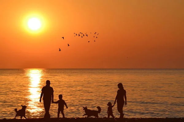 Gündoğumunda Deniz Kıyısında Yürüyen Çocukları Köpekleri Olan Aile Silueti — Stok fotoğraf