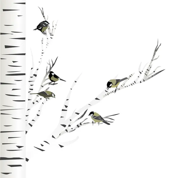 Hand Drawn Great Tit Birds Sitting Birch Tree — Image vectorielle