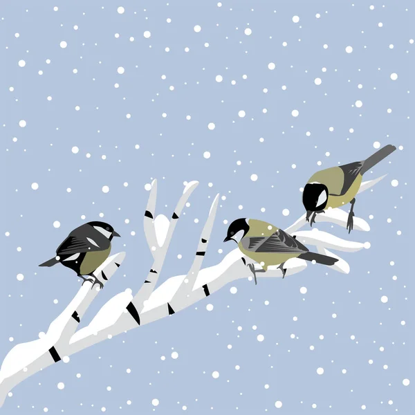 Winter Background Tits Birch Branch — 图库矢量图片