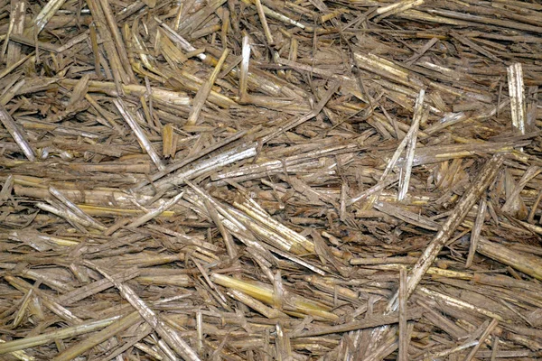 Light Clay Straw Texture Background — Stock Photo, Image