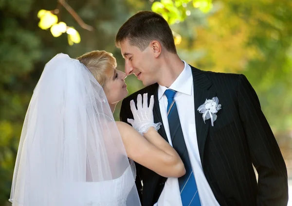 Casamento recente — Fotografia de Stock