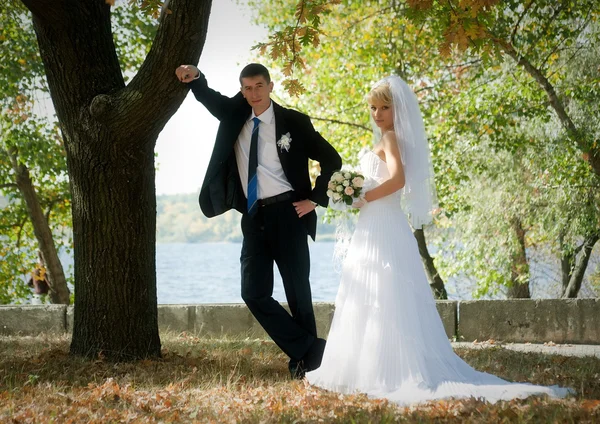 Newly married couple — Stock Photo, Image