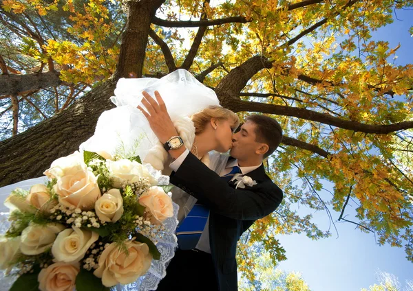 Newly married couple — Stock Photo, Image