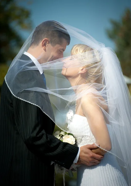 Newly married couple — Stock Photo, Image