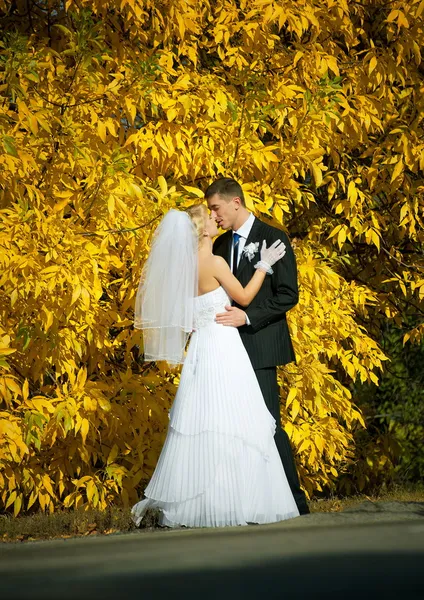 Casamento recente Imagens De Bancos De Imagens Sem Royalties