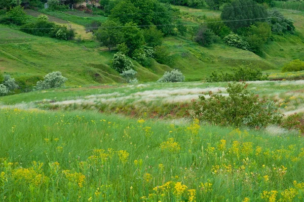 Rural landscape of Eastern Europe — Stock Photo, Image
