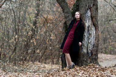 Sonbaharda ormanda poz veren uzun saçlı güzel seksi kız.