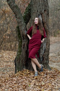 Sonbaharda ormanda poz veren uzun saçlı güzel seksi kız.