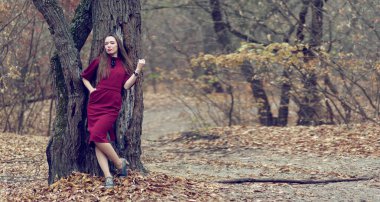 Beautiful sexy girl with long hair posing in the forest in late autumn