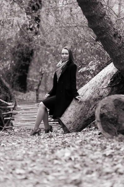 Beautiful Sexy Girl Long Hair Posing Forest Late Autumn — Stok fotoğraf