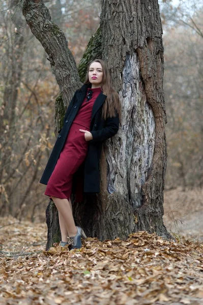 Beautiful Sexy Girl Long Hair Posing Forest Late Autumn — стоковое фото