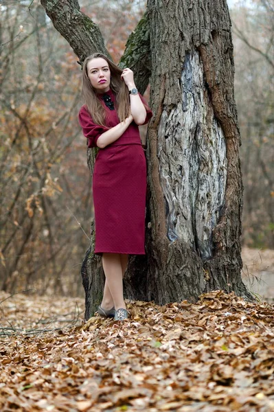 Όμορφη Σέξι Κοπέλα Μακριά Μαλλιά Ποζάρουν Στο Δάσος Στα Τέλη — Φωτογραφία Αρχείου