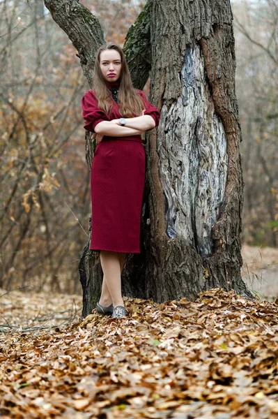 Όμορφη Σέξι Κοπέλα Μακριά Μαλλιά Ποζάρουν Στο Δάσος Στα Τέλη — Φωτογραφία Αρχείου