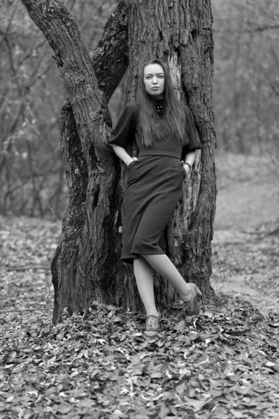 Sonbaharda Ormanda Poz Veren Uzun Saçlı Güzel Seksi Kız — Stok fotoğraf