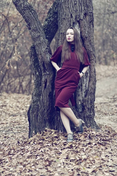 Bella Ragazza Sexy Con Capelli Lunghi Posa Nella Foresta Nel — Foto Stock