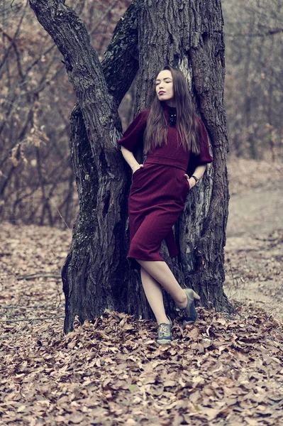 Piękne Sexy Dziewczyna Długimi Włosami Pozowanie Lesie Późną Jesienią — Zdjęcie stockowe