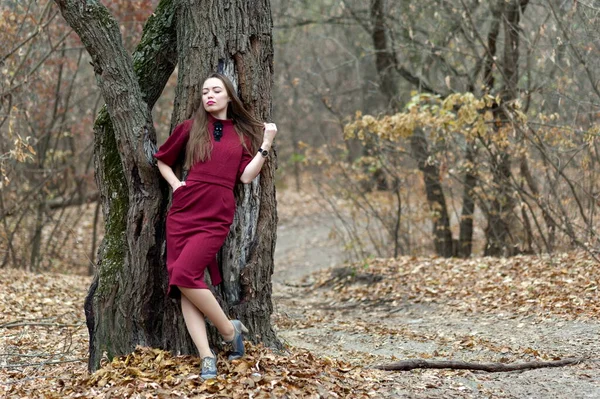 Beautiful Sexy Girl Long Hair Posing Forest Late Autumn — 스톡 사진