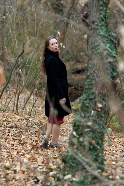 Beautiful Sexy Girl Long Hair Posing Forest Late Autumn — Stock Photo, Image