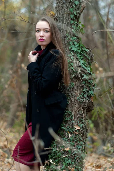 Beautiful Sexy Girl Long Hair Posing Forest Late Autumn — Stockfoto